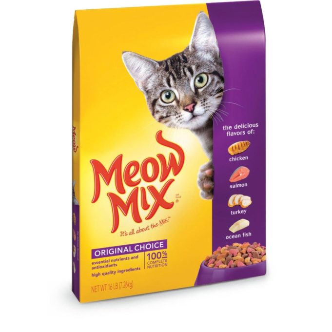 Best food brands for kittens