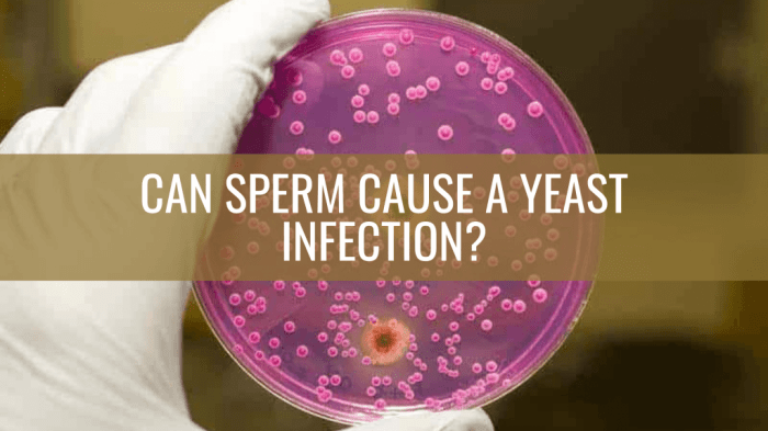 Can diet cause yeast infection