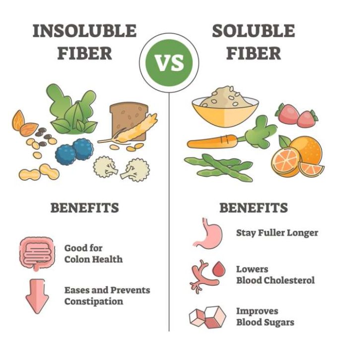 Types of dietary fiber