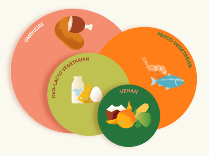 What's vegetarian diet