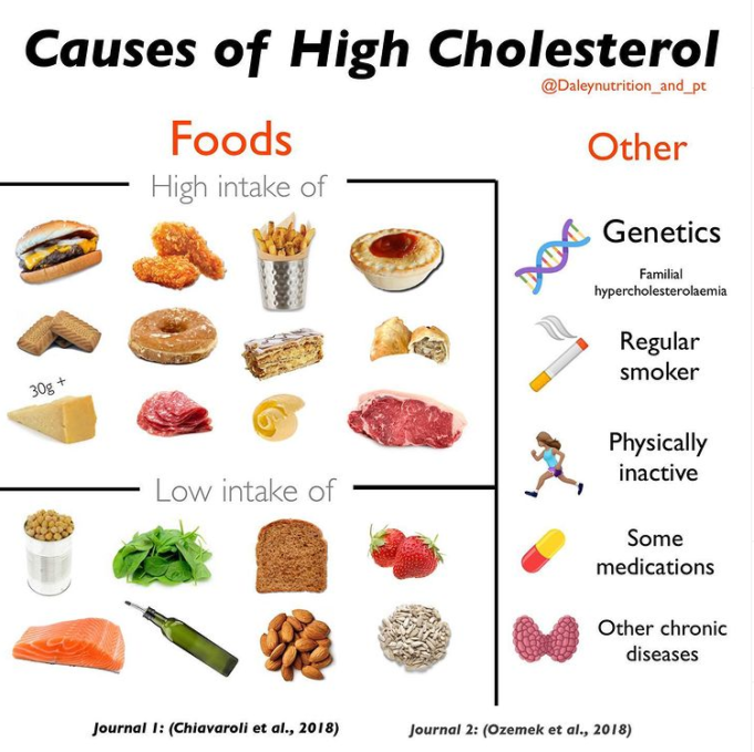 What diet for high cholesterol