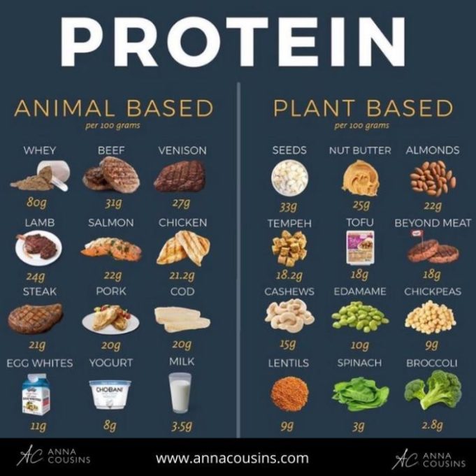 How to add protein to diet