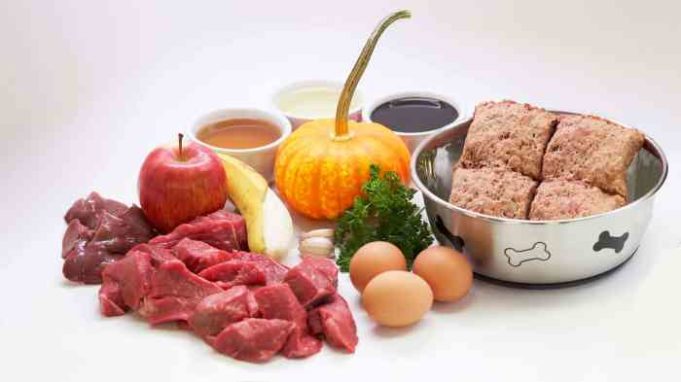 Is raw diet good for dogs