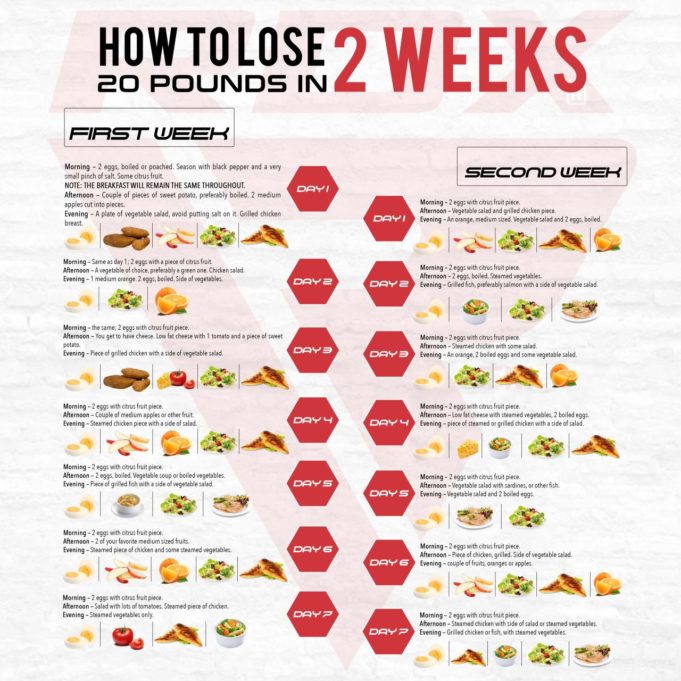 Diet to lose weight