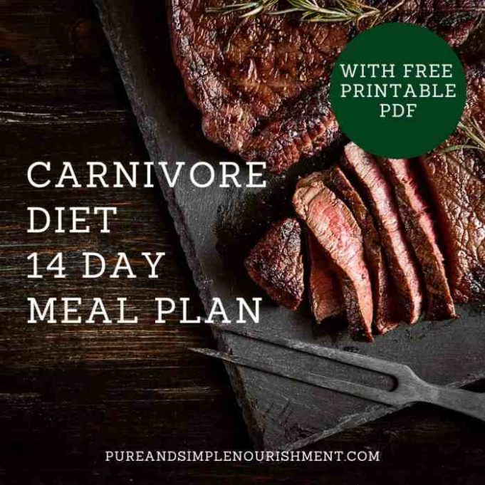 How to carnivore diet