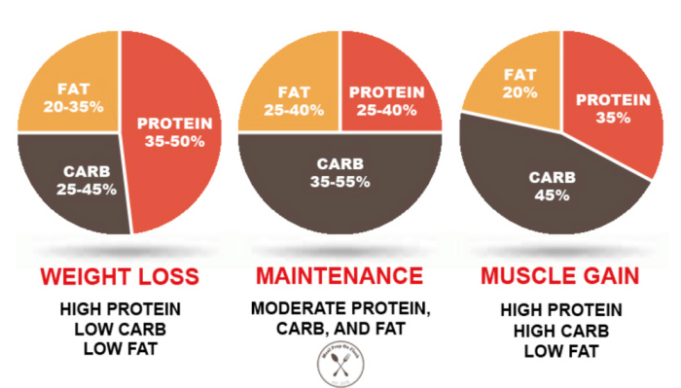 The best diet for weight loss and muscle gain