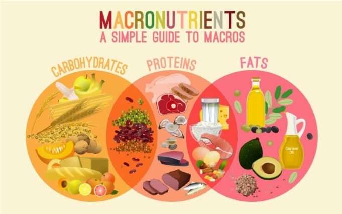 What are diet macros