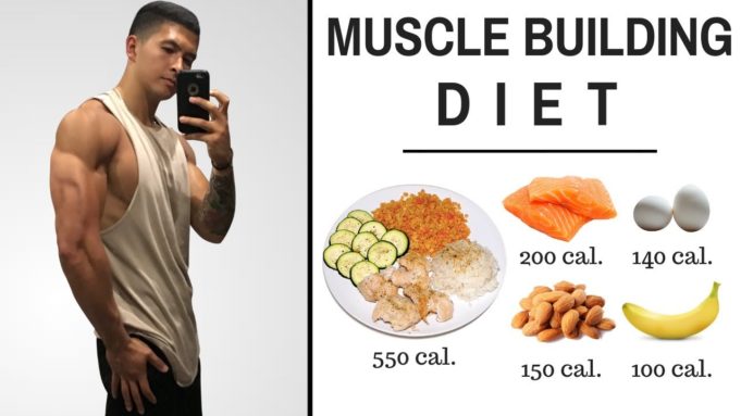 Best diet to gain muscle