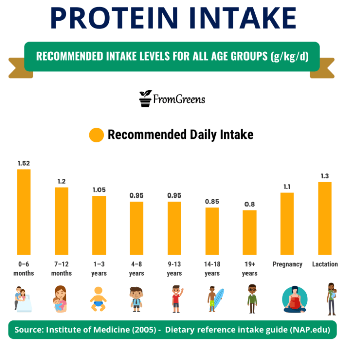 Recommended Dietary Allowance for muscle building