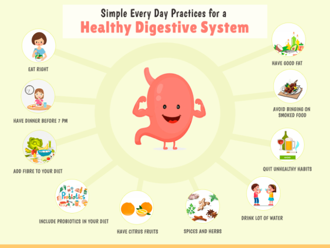 Recommended Dietary Allowance for healthy digestion