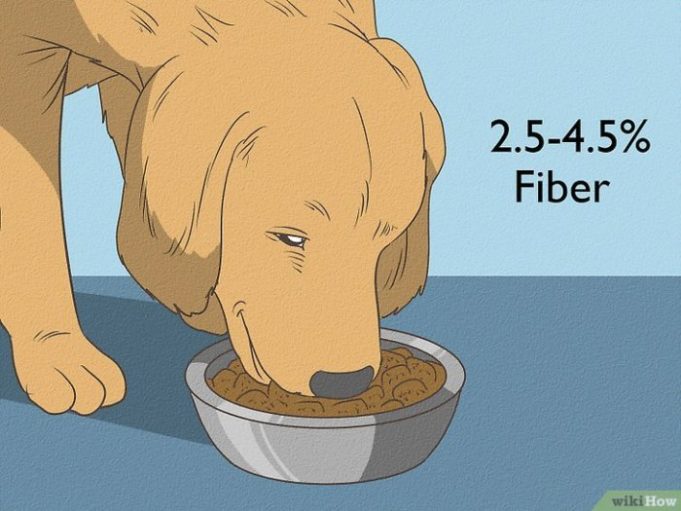 How to add fiber to dogs diet naturally